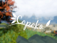 Review — Copoka