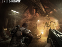 Hunter, Survivor, Prey, Which Will You Be?