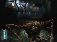 Extracting More Images Of Fear