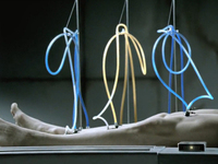 Halo Reach Minus The Afterbirth