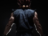 Street Fighter: Legacy