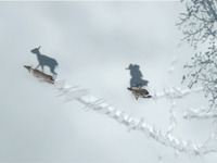 Let's Go Hunting With New Assassin's Creed III Screens