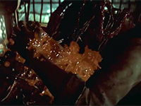 See The Enemies Of The Evil Within In A Darker Light