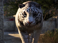 Story Time: Far Cry 4