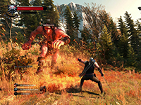 There Are All Kinds Of New Looks For The Witcher 3: Wild Hunt