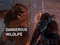 Rise Of The Tomb Raider Goes All Woman Vs Wild In New Series