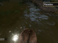 Even The Water Is Out To Kill You In Green Hell