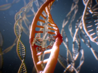 Mutant Year Zero: Road To Eden Has Been Set With A Release Date