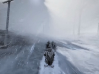 Get Ready To Push Further Into The Wild Of Fade To Silence