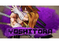 Samurai Shodown Brings Its Own New Sword Rack With Yoshitora