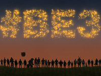 Watch Bethesda's 2019 E3 Press Conference Right Here