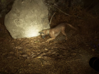 Bullet Is More Helpful In Blair Witch Than We Knew