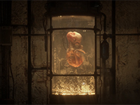 Take In The Dark First Look At S.T.A.L.K.E.R. 2