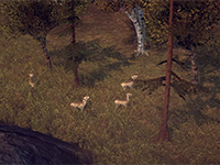 Animals Now Play A Larger Role In Endzone: A World Apart