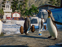 Planet Zoo Will Have Us Diving Into Some New Wildlife Next Week