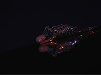 Hitman 3 Will Have Us Being Overly Prideful With Our Kills Soon