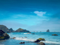 Night Book Will Be Telling Its Story Before The End Of The Month