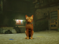 Stray Is Finally Coming Home With An Official Release Date