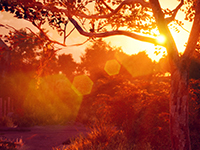 The Texas Chain Saw Massacre Drops A Few More Petals To Follow Along With