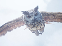 Hogwarts Legacy Is Sending Out All Of Those Invites For New Students