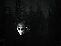 Greyhill Incident Will Allow Us To Find Even More ‘Found Footage’