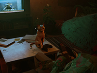 Stray Is Going To Be Knocking Over The Xbox Soon