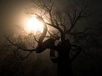 Run From A Massive Snake In The Recently Announced Digested