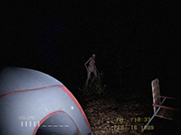 Silent Breath Asks Us All To Hold Our Breath To Survive The Nights