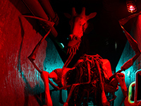 The Giraffes Are Crawling Around Out The In The World Of Zoochosis