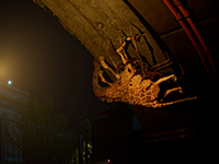 Zoochosis Takes Us Through A Day Of Our Zookeeper With Gameplay