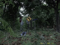 Silent Breath Will Be Having Us Hold Our Breath With Some Early Access