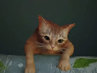 Stray Is Now Clawing Its Way Onto The Nintendo Switch