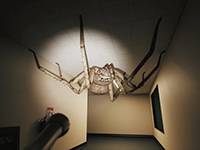 Huntsman Is Letting Us Get Inside The Spider’s Mind Very Soon