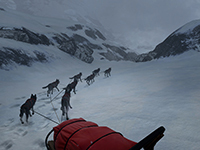 WILL: Follow The Light Is ready For Us All To Playtest It