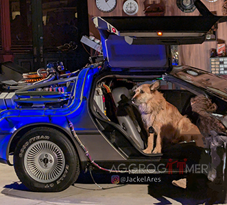 UNIVERSAL FAN FEST 2025 [Credit - Juliet Meyer (@jackelares)